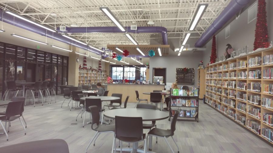 Library at New Ulm High School