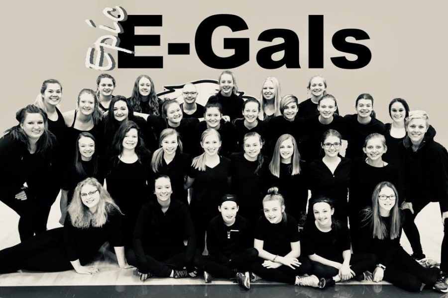 The 2017-2018 Epic E-Gals Dance Team 