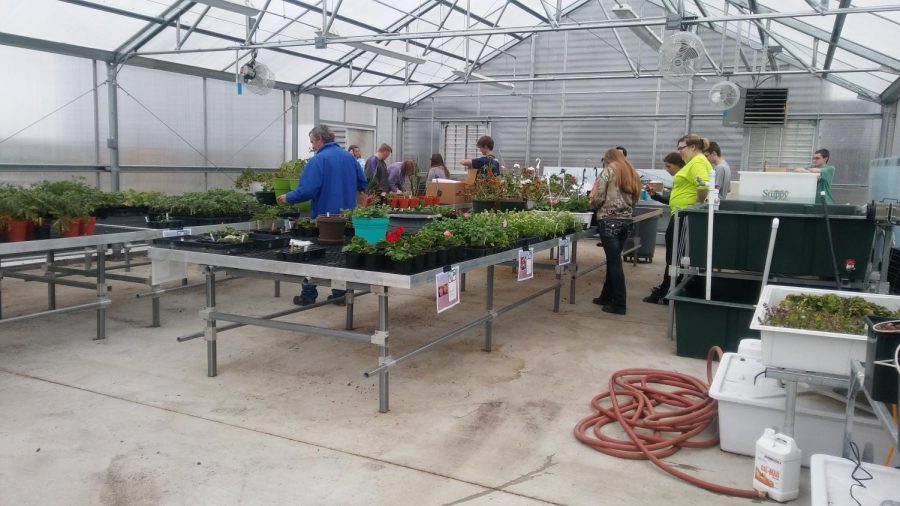 NUHS+Students+Sell+Plants+to+the+Public