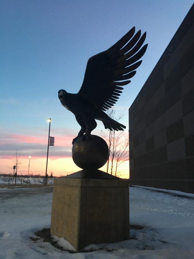 This eagle looks ready to take off  much like the NUHS kids leaving after practice. This enchanting sunset captures the  beauty, that is the bond and unity of the Eagles family.