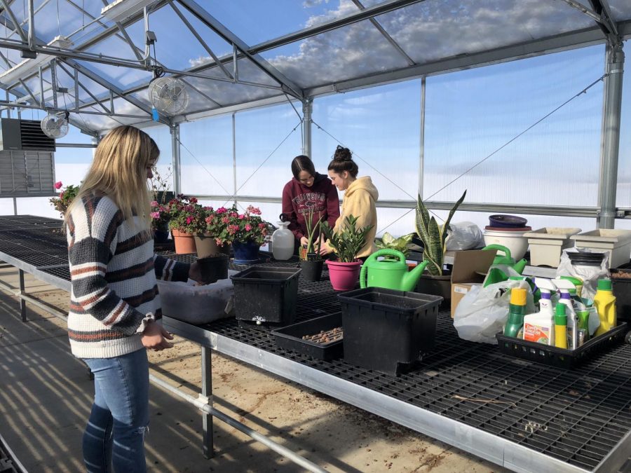 Horticulture students hard at work cleaning the greenhouse