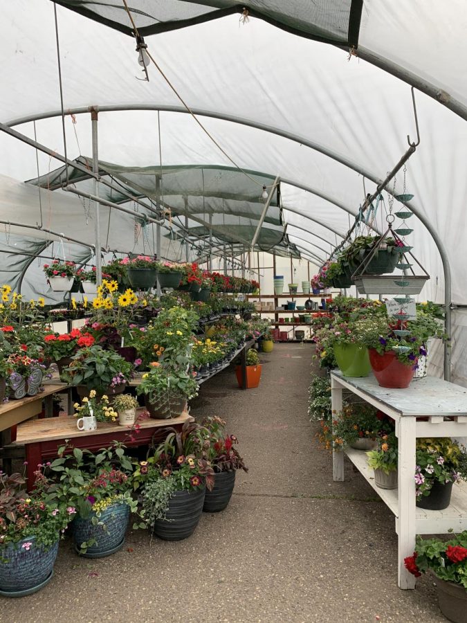 During the stay at home order, greenhouses are considered an essential business and continue to stay open.