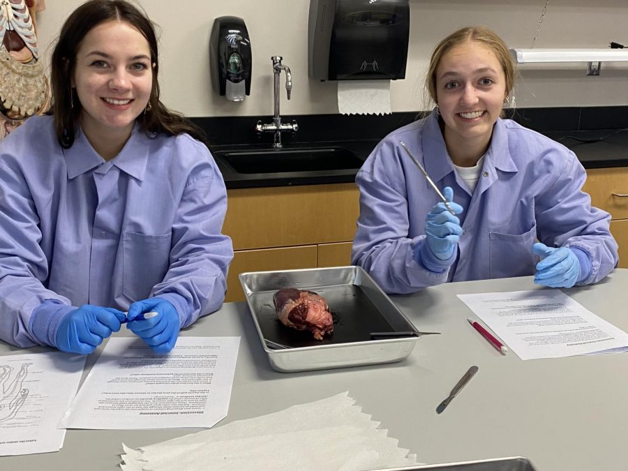 Kirsten Dennis and Anna Lee dissect a deer heart in their human anatomy class. 