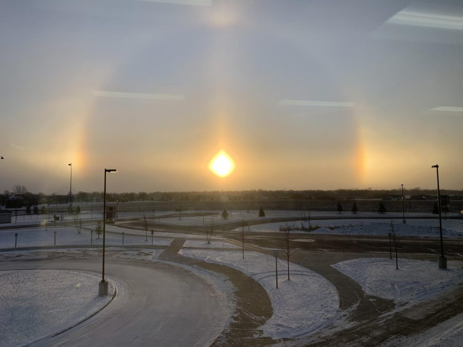 Sundogs+out%2C+House+dogs+in