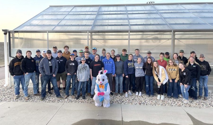 New Ulm FFA members gather on a a warm Saturday night to hide over 2500 Easter eggs in New Ulm and surrounding areas.