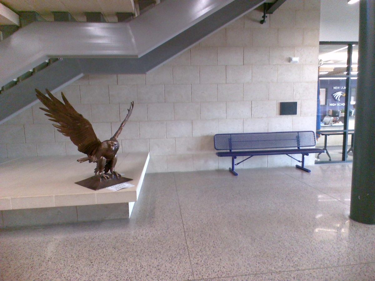 Another eagle found around New Ulm Public High!