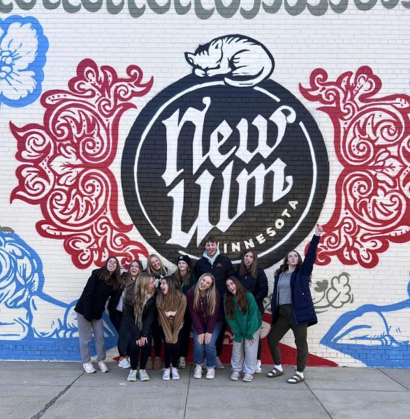 Net Work New Ulm Youth students pose in front of a hand painted New Ulm mural when on their historical tour of their town. 