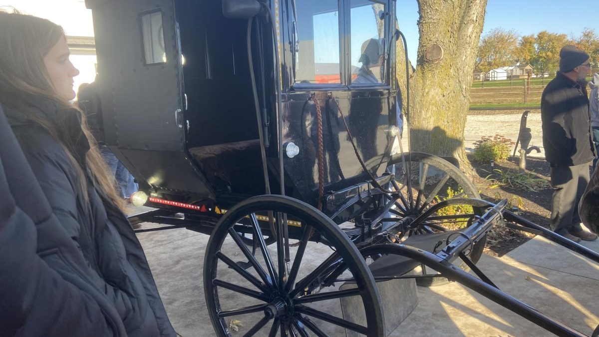 Amish buggy for the cold