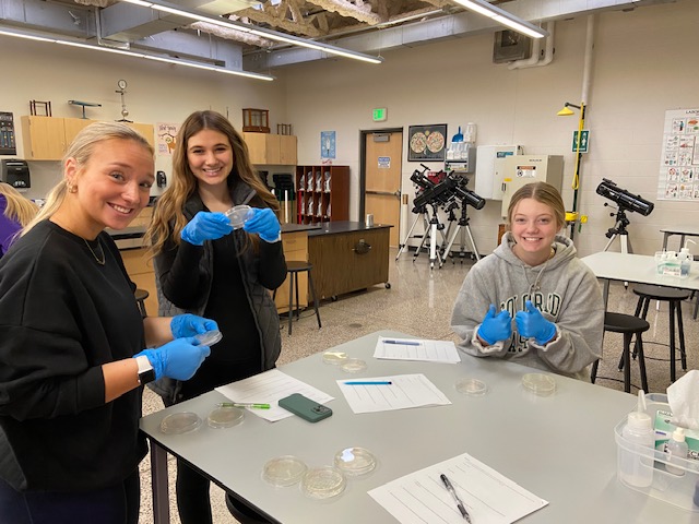 Seniors (L-R) April Rose, Shaelyn Hauser and Meghan Martin are examining their petri dishes to look at bacteria growth.