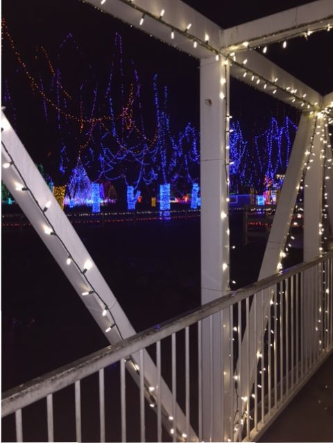 Kiwanis Lights