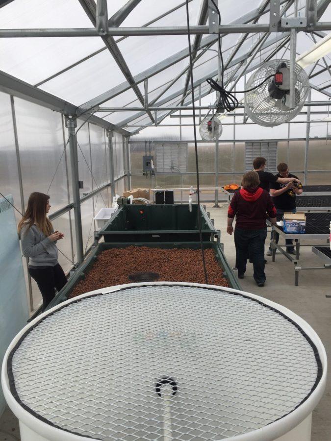 Aquaponics