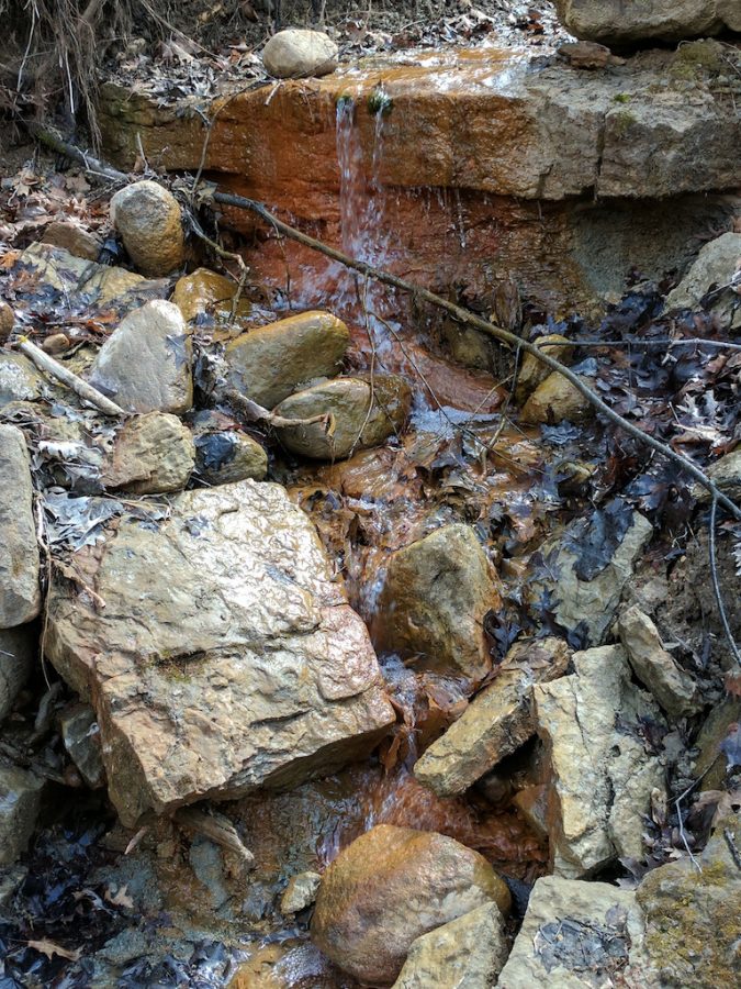 Cobb's Creek, March 31