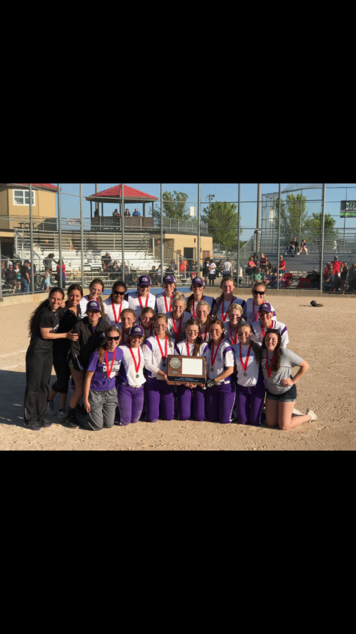 NEW ULM EAGLES SOFTBALL 
Eagles lost the battle between Mankato West in the section championship game. 