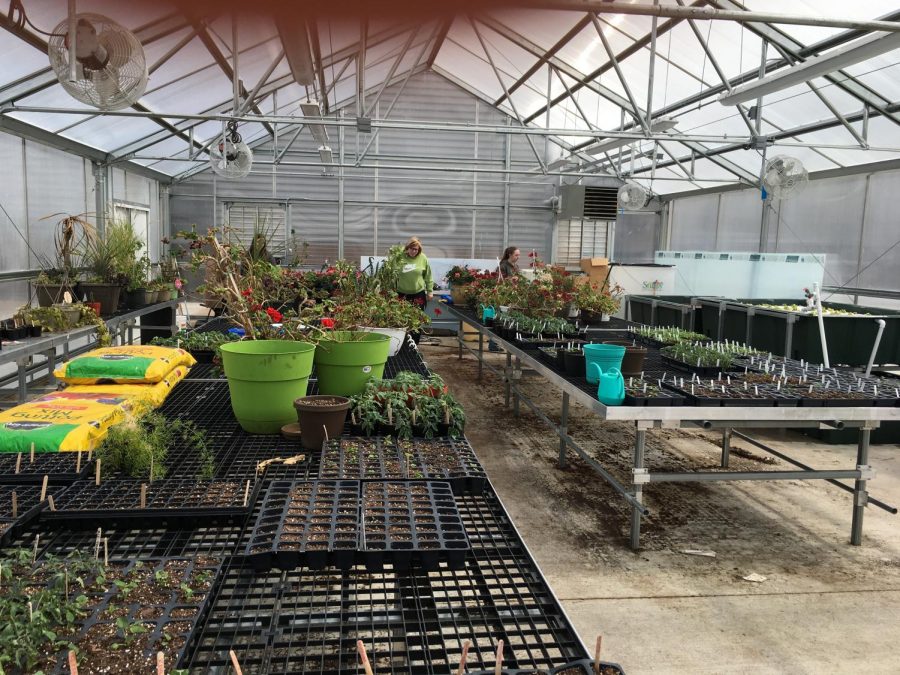 NUHS Green House and Aquaponics Unit