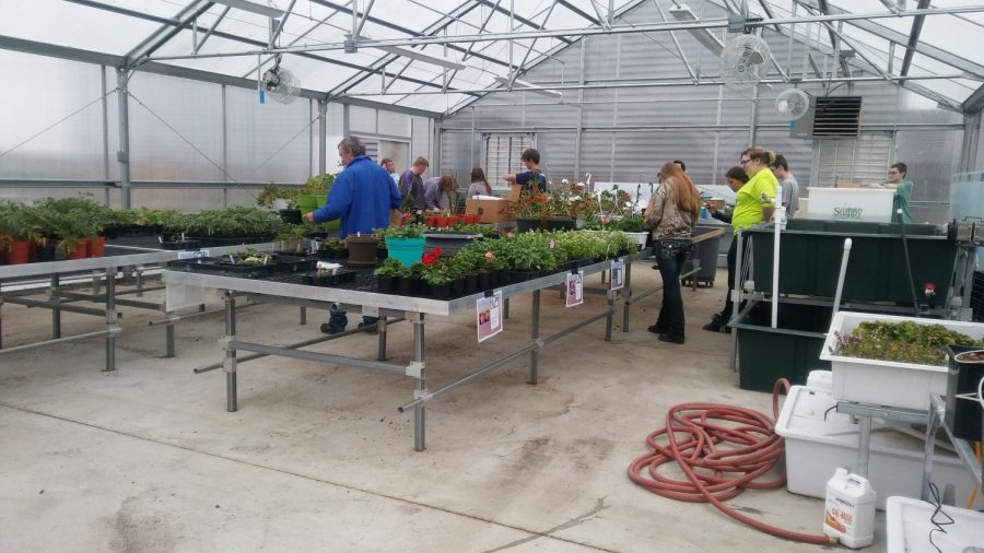 NUHS Students Sell Plants to the Public