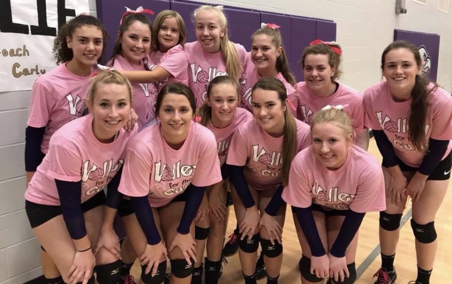 2018 New Ulm Eagle Volleyball Recap