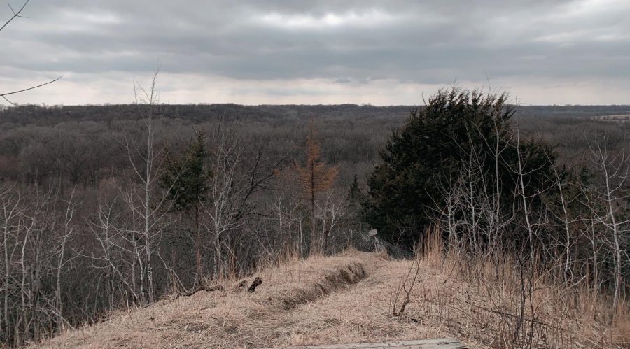 A few from the top of one of Flandru State Park's hiking trails. 