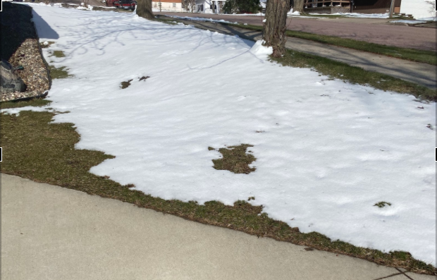 April snow showers brings May flowers? 