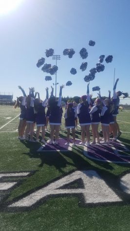NUHS Cheer Program