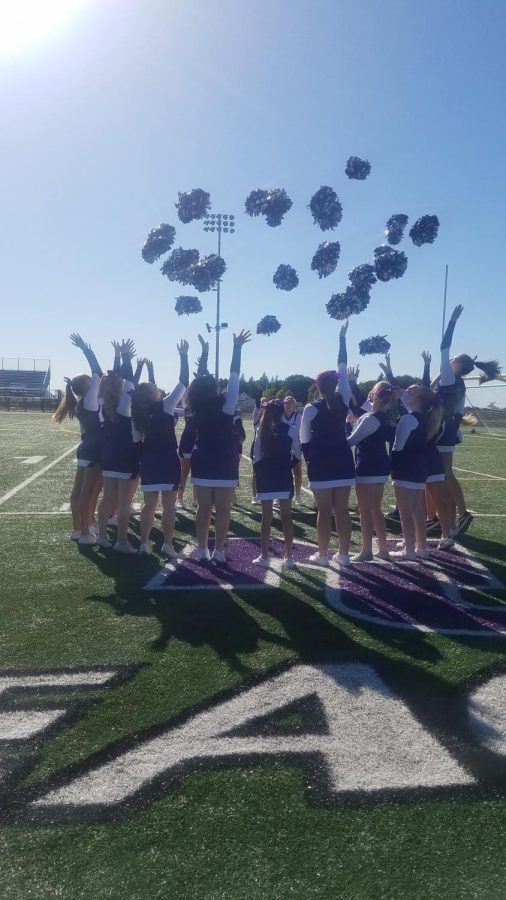NUHS Cheer Program