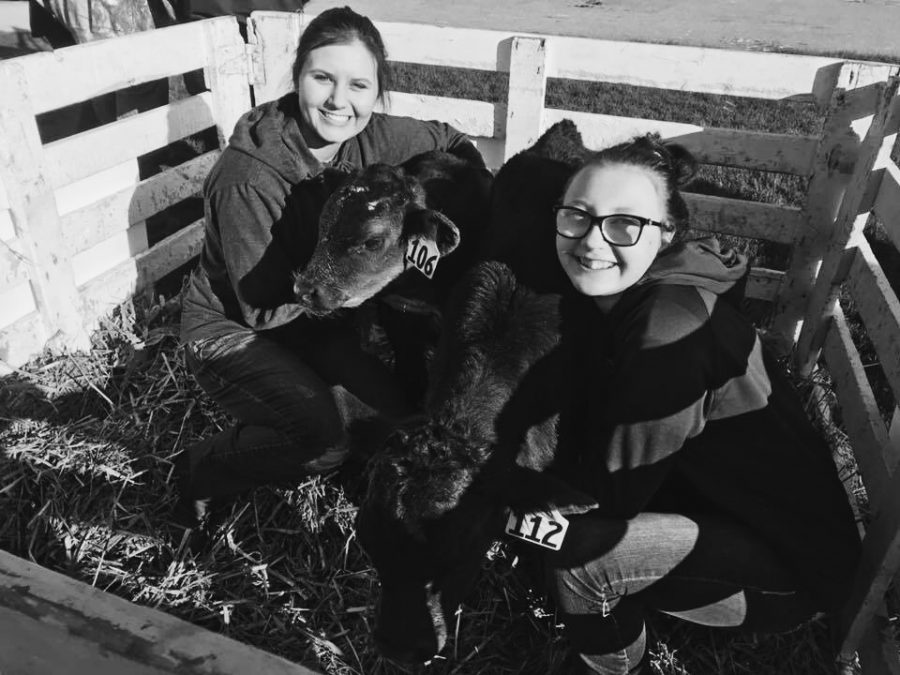 Spring AG show. Cora Haas and Gracie Altmann