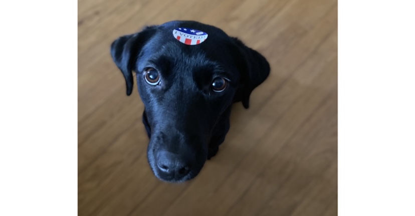 "I voted sticker"