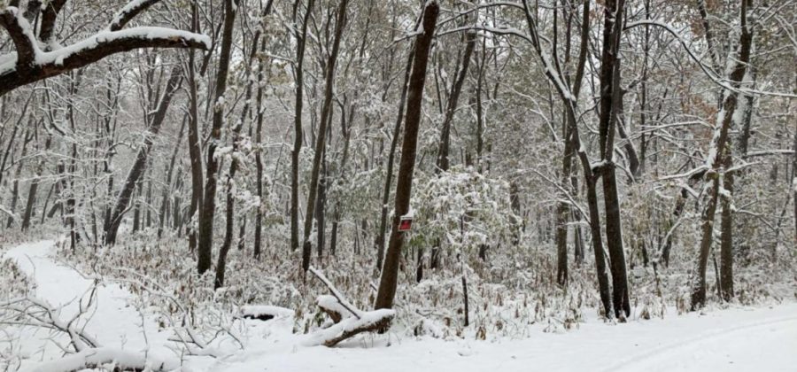 Fall Hunting in the Snow