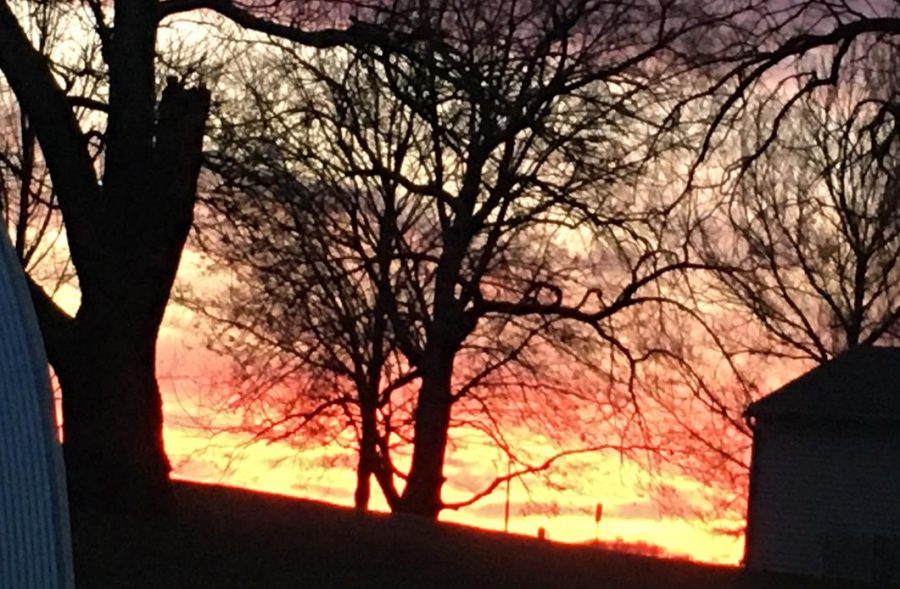 Beautiful sunset causes many brilliant bright lights to shine through the silhouette of the trees in New Ulm Minnesota.