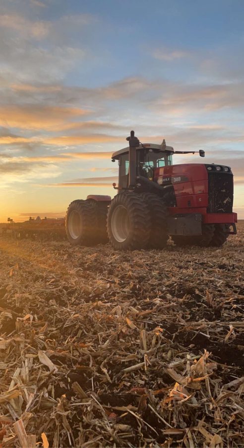 Sunset farming