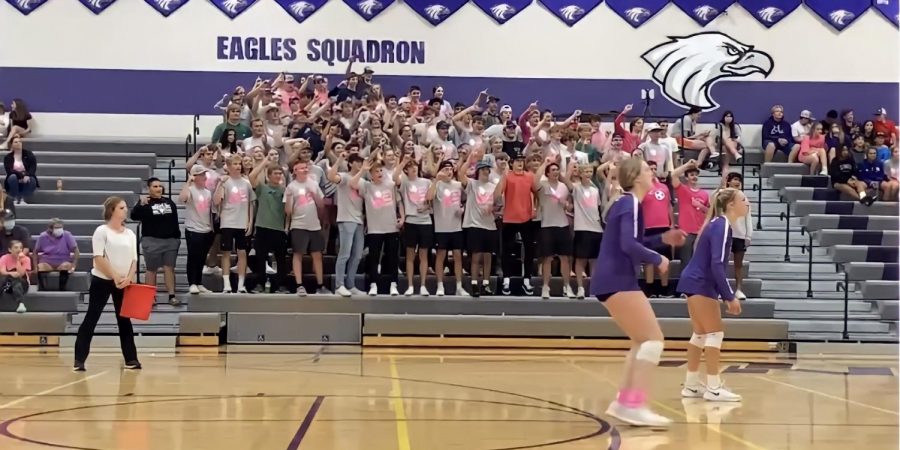 The Eagles Squadron don their pink in support of the New Ulm volleyball team during Volley for a Cure Night