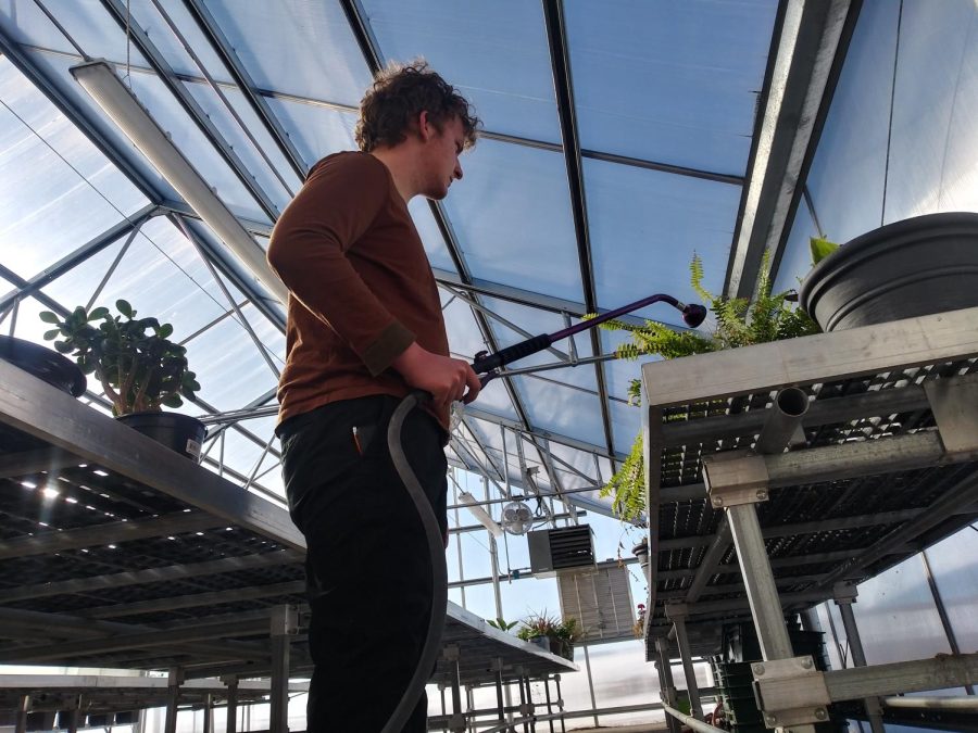 Helping around horticulture