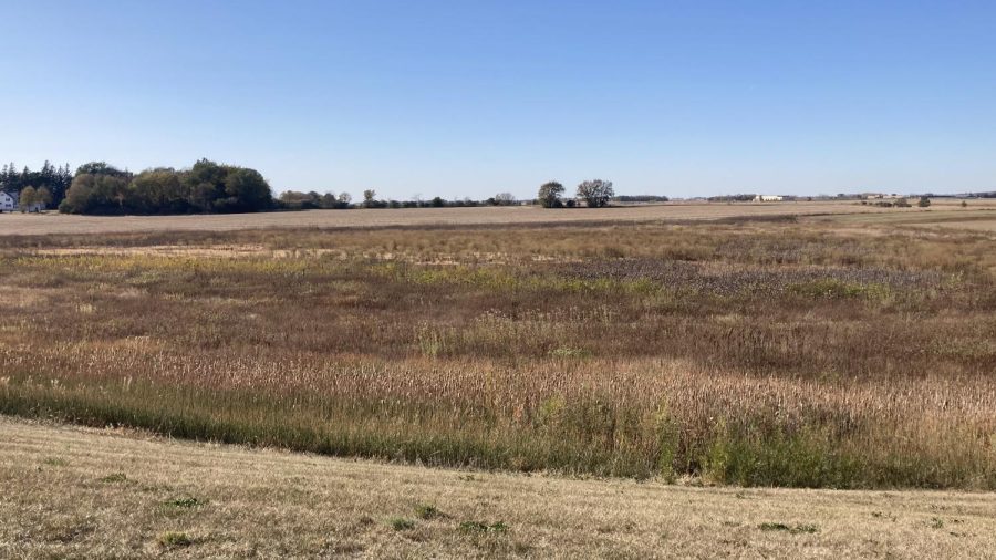 Picture of the Wetlands behind NUHS shot from the hill beside the metal shop garage.