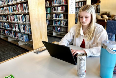 Senior Emma Gieseke works on her PSEO class at the Public Library.