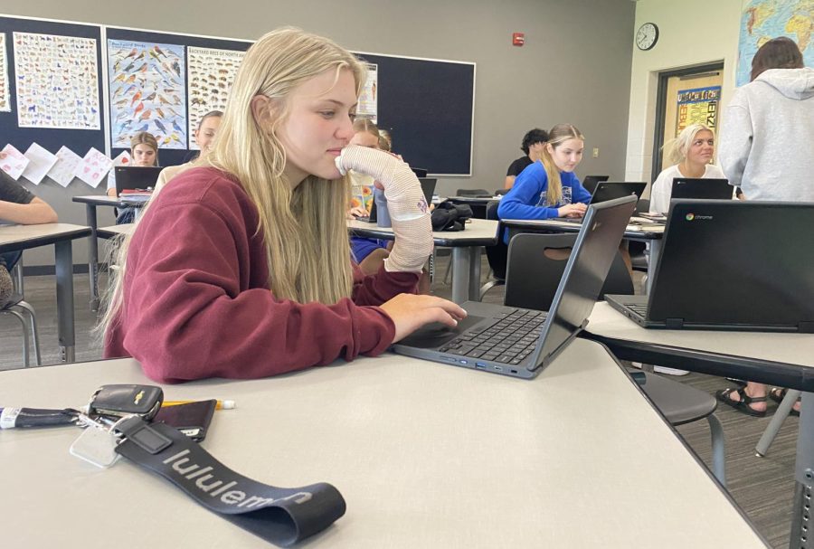 Tough break: Junior Gracie Linbo taking a moment to reflect on her options for the rest of the softball season. She broke her hand sliding into 2nd base on a steal in a  game against Chisago Lakes. Maybe I should get one of those oven sliding mitts, she said.