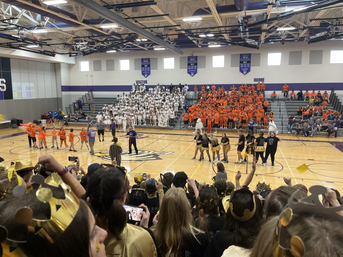 The Seniors (right) line up to pull against the Freshmen (left).