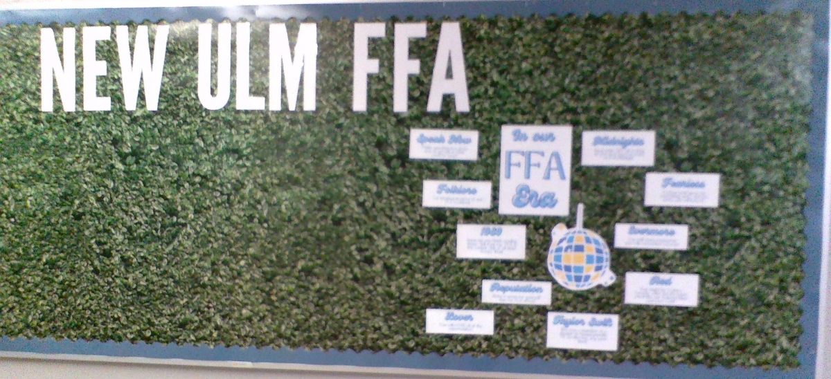 The New Ulm FFA Chapter getting their bulitein board ready for the up-coming schol year.