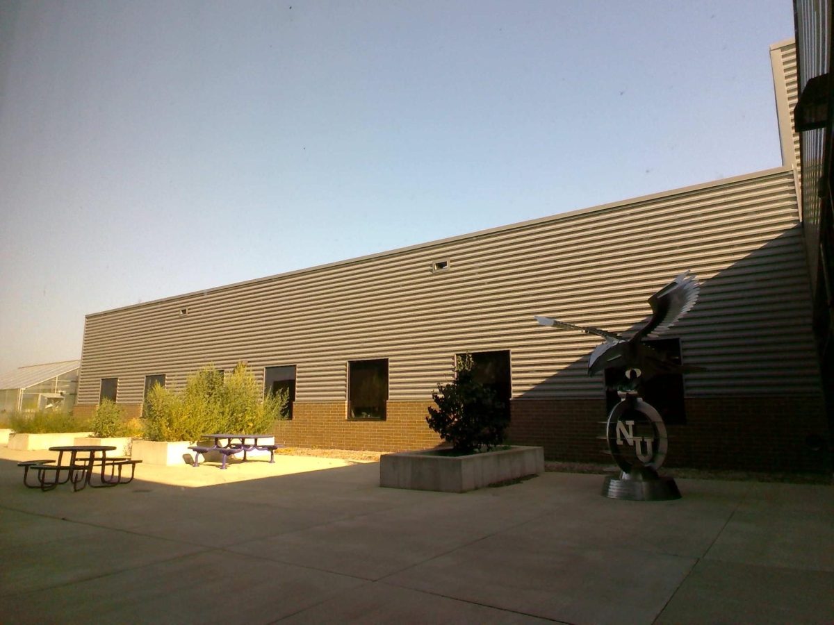 NUHS building casts a shadow over the outside commons