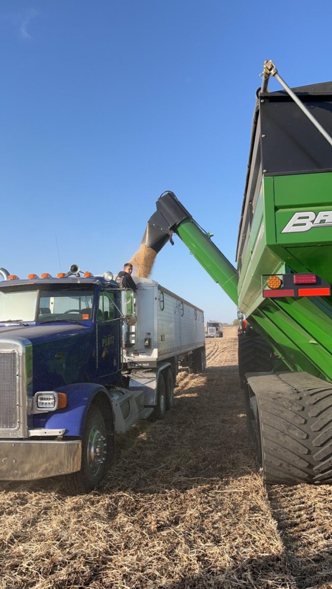 Kaden Wilson watches as the semi gets loaded with soybeans.