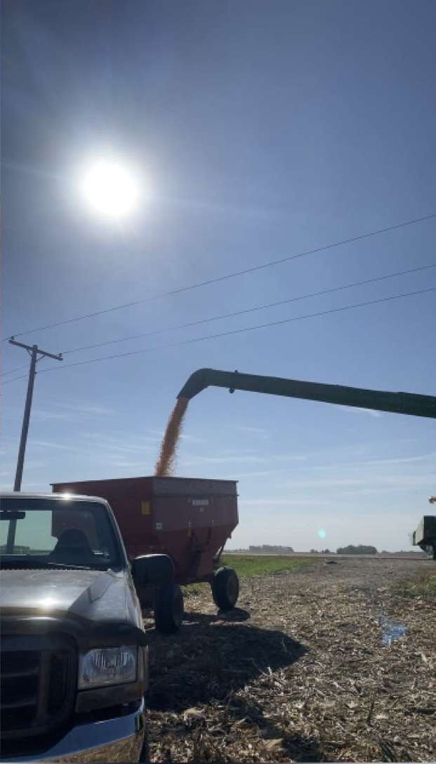 A New Ulm FFA members gravity wagon being filled with a corn donation. 