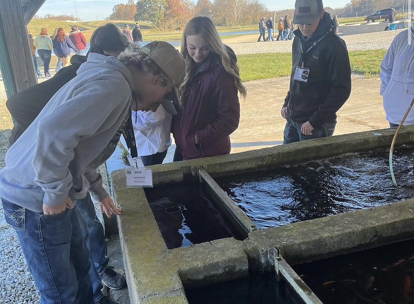 New Ulm FFA members looking at newly hatched fish.