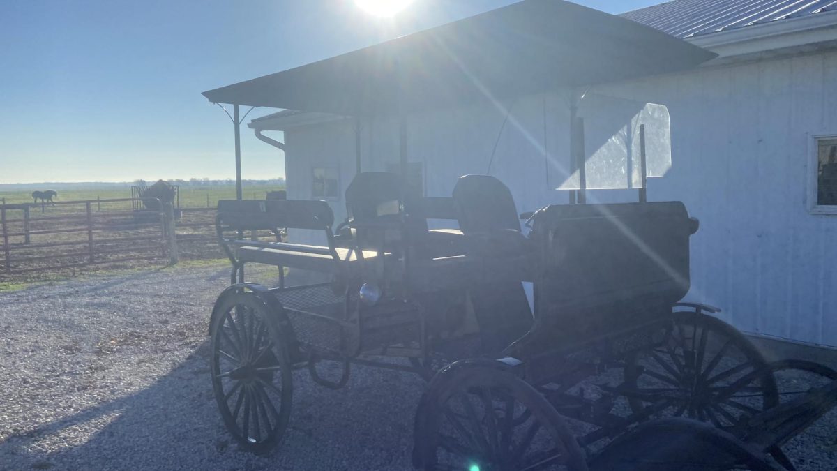 Amish buggy