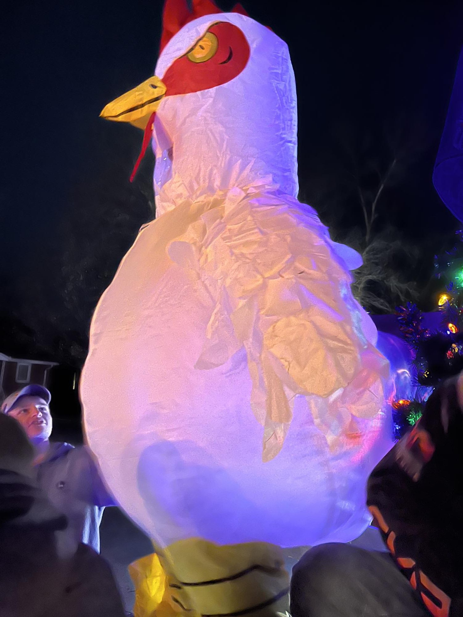 Junior Reid Krenz dressed up as a chicken for the holiday parade. 