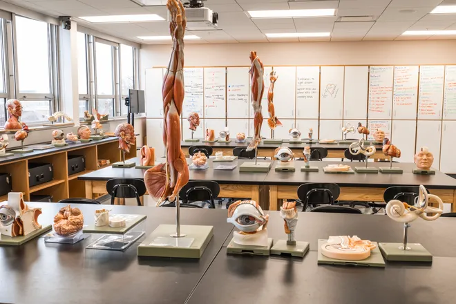 Aamlid human anatomy lab at SDSU
Photo taken by Kate Heiberger