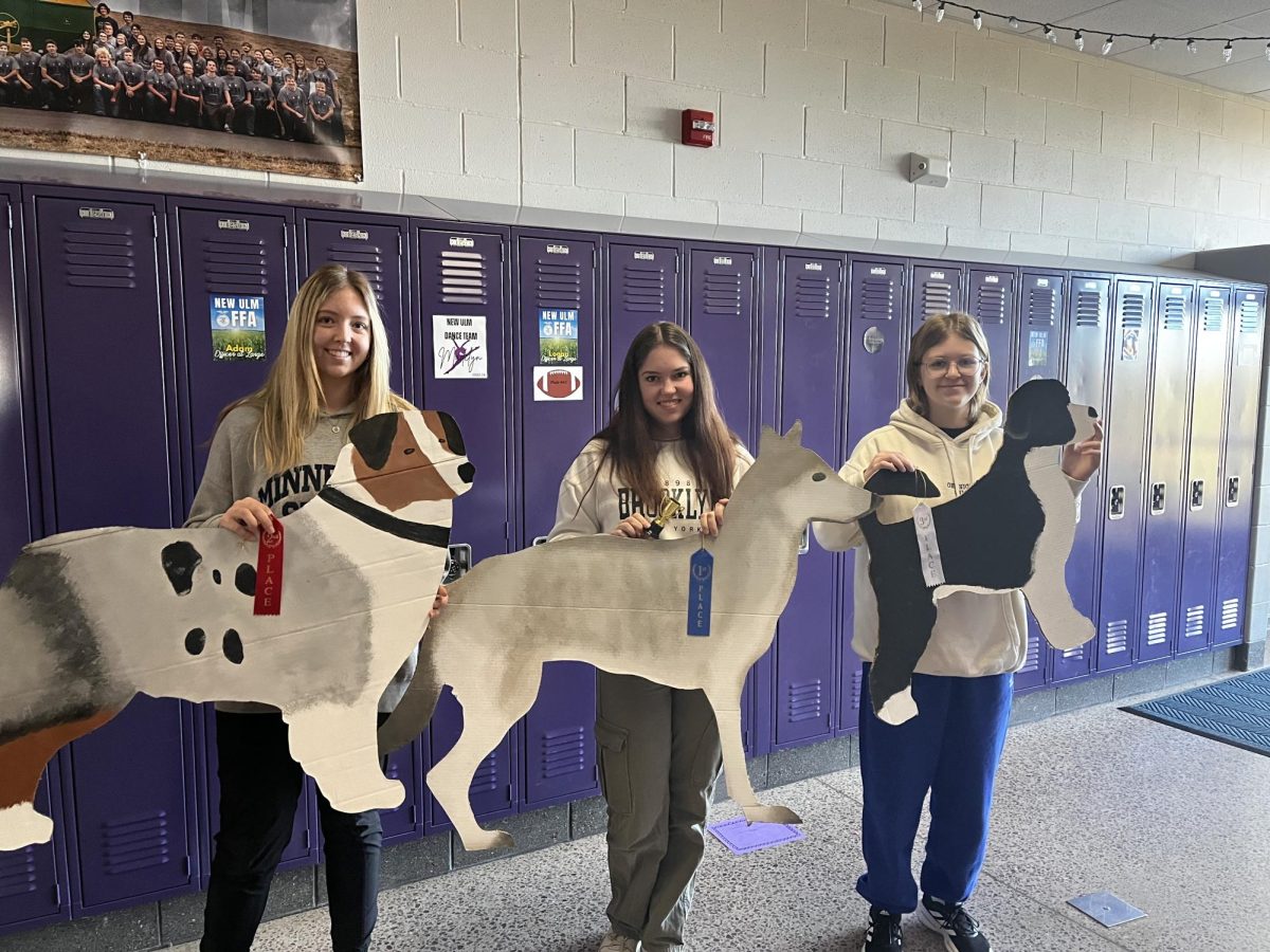 From left to right Skylar Hesse and her Australian shepherd (2nd), Jule Engelhardt and her Czechoslovakian Wolfdog (1st), and Valeria Garcia and her Spanish Water  dog (3rd).