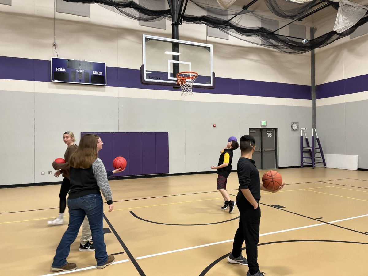 Many different students play a game or basketball 