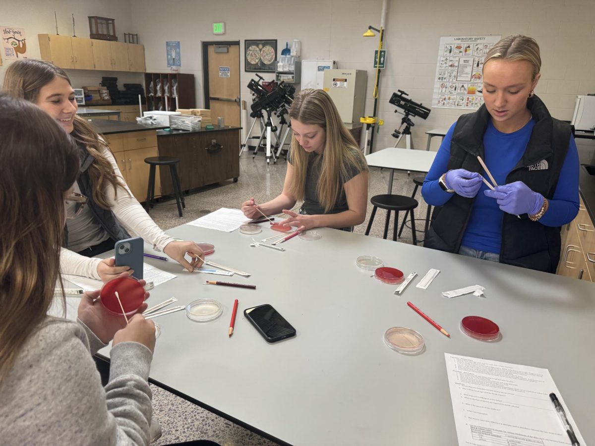 Seniors (L-R) Alicia Moldan, Shaelyn Hauser, Meaghan Martin and April Rose streaking each of their Petri dishes. 