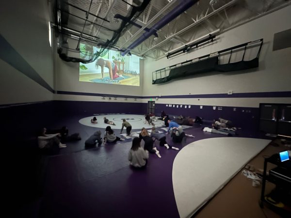 Healthful Living students following the yoga stretches.