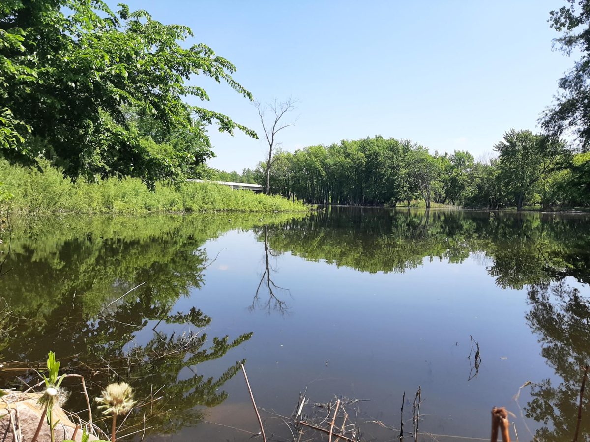 Once upon the Minnesota River, skippers stood with rods in hand while playing fish hooky.