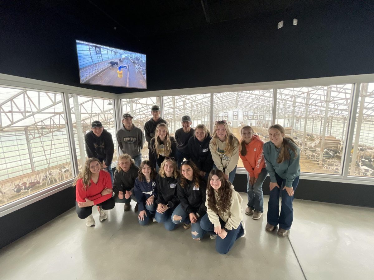 FFA Members pose for a quick pic with the cows in the barn