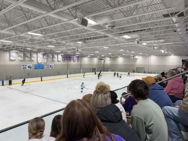 Fans pack the stands to watch eagles hockey.